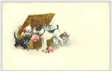 CHATS.n°1295.TROIS PETITS CHATONS ET UN CHIEN DANS UNE CORBEILLE