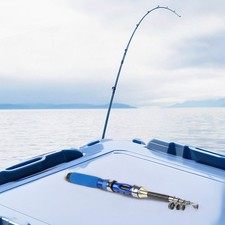 Canne à pêche télescopique