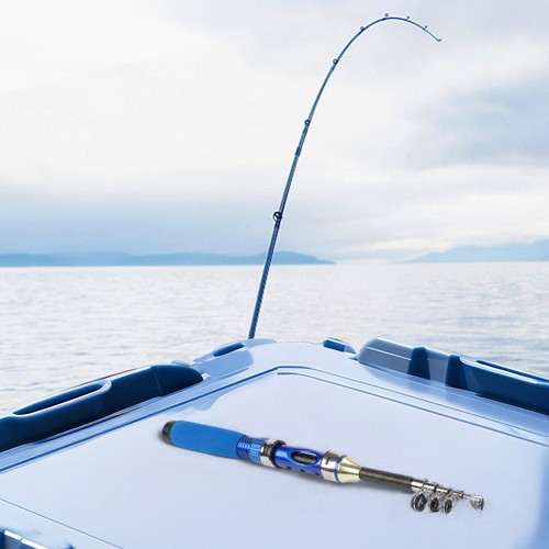 Canne pêche télescopique - à,