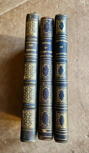 1853 1858 1859 college - 1858,