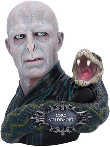 Harry potter buste voldemort - harry,