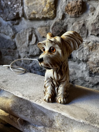 Superbe lampe veilleuse