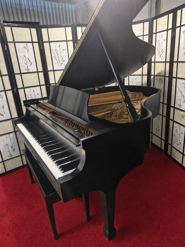 Steinway grand piano 7 - steinway, m