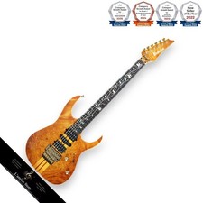 Guitare acoustique Ibanez GB10