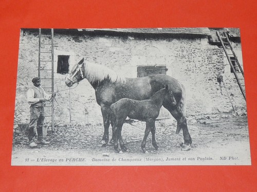Cpa carte postale - cpa, france