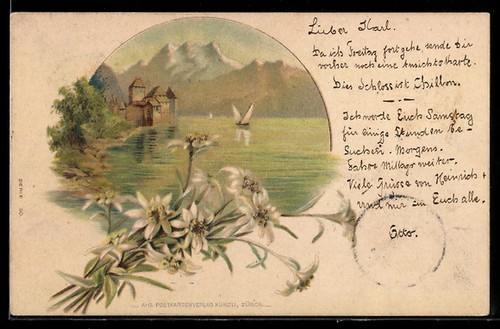 Carte postale edelweiss - postale,