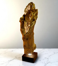 Bois Flottant Lampadaire Tronc