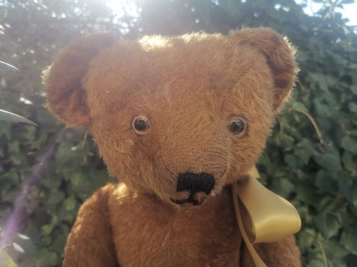 Ours ancien pintel - ours,