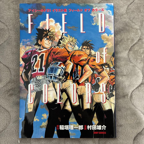 Eyeshield field colors - 21, of