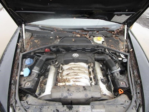 Automatic transmission - automatic, 8