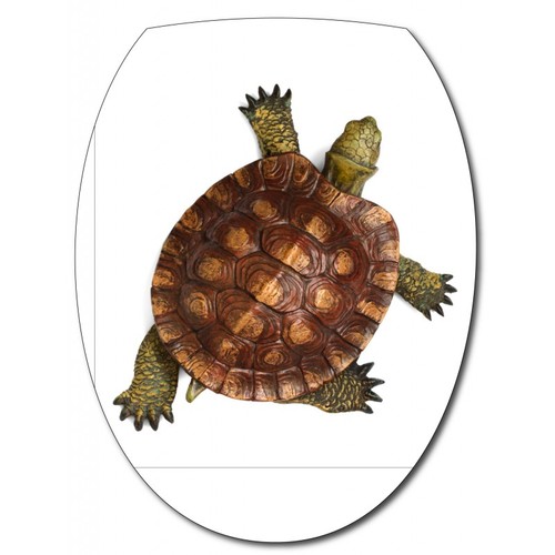 Sticker abattant tortue - abattant,