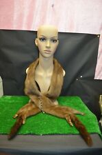 ANCIENNE COL DE FOURRURE MARTRE CASTOR VISON RENARD TAXIDERMIE PATTE ANNÉE 30