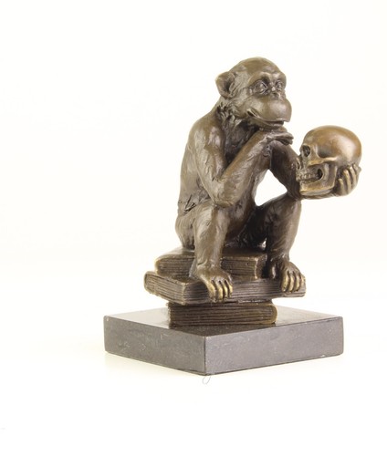 Sculpture singe darwin - singe,