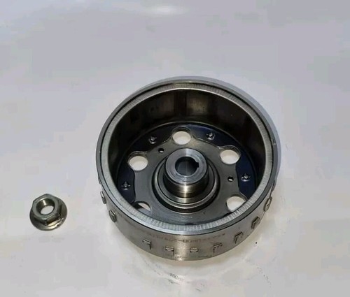 Rotor volant magnetique - volant,