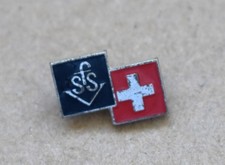 Petit Insigne, broche de ski