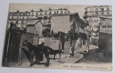 PARIS 75 MONTMARTRE ETUDE DANS LE MAQUIS CHEVAUX ANNE CPA+++++ RESISTANCE