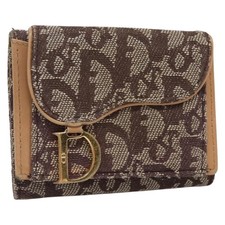 Christian Dior Trotter Canvas