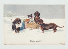 Bonne année. Chiens et chats