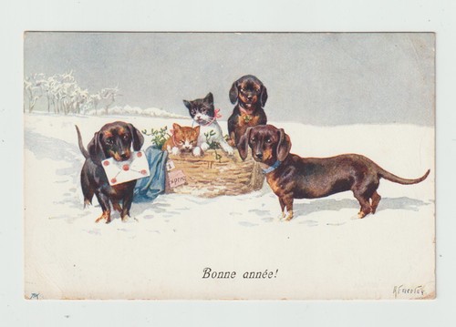 Bonne année chiens chats - bonne,