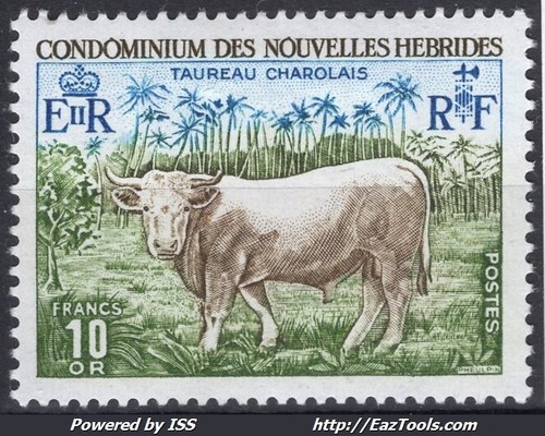 Nouvelles hebrides taureau - nouvelles,