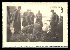 Photo WW2, Nachl. Oblt.Rissmöller, 10./I.R.454, arbre à neige sous l'eau, L263L