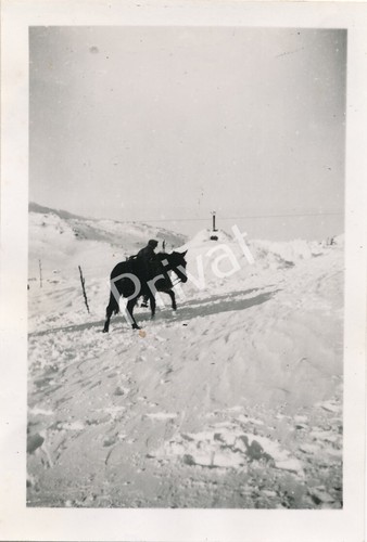 Photo soldats neige - ii,