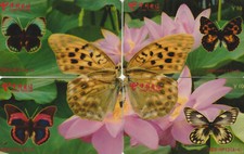 CARTES TELEPHONIQUES     Puzzle    PAPILLONS   (CHINE) 
