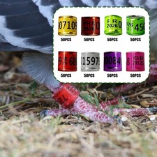 Pièces pigeon bague - 50,