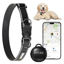 Collier GPS pour Chien avec