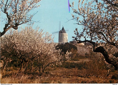 Carte postale - postale,