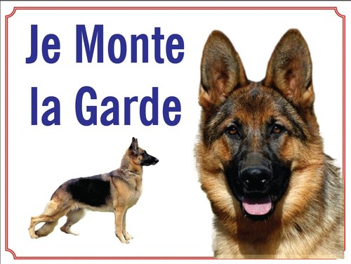 Attention chien je monte - chien,,
