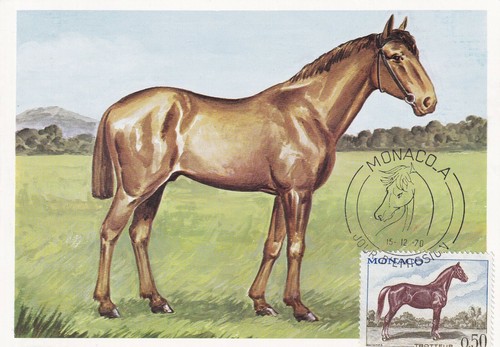 Carte postale postcard 1er