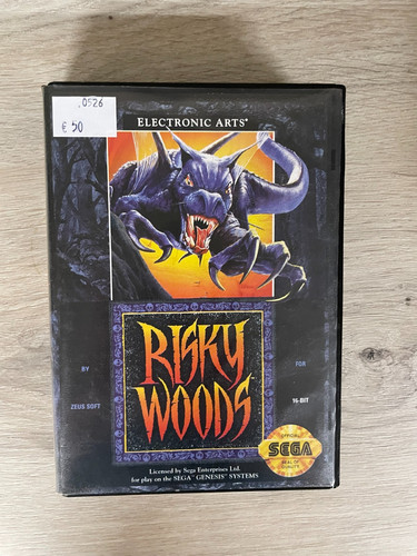 Risky woods sega genesis - :,