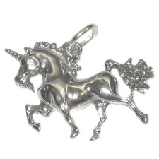 Breloque en argent sterling 2D