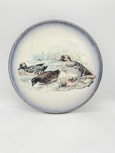 Plat tarte service - plat, à