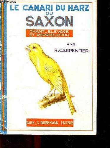 Canari harz saxon - canari,