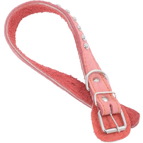 Collerette chien souple - collerette,