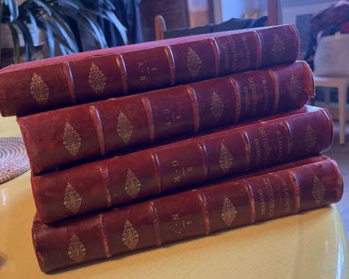 Nouveau dictionnaire universel - nouveau,