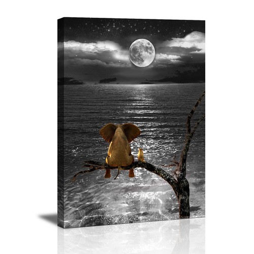 Images sur toile 60 - toile, 80
