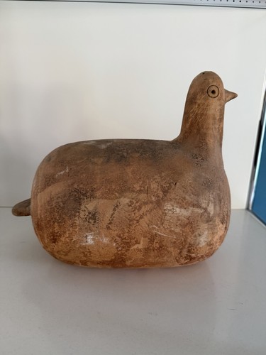 Oiseau bird bitossi aldo londi - bird,