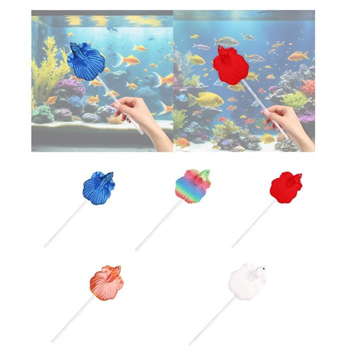 Entraînement pour poissons - d'entraînement,