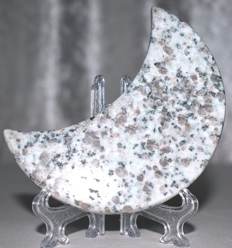 Kiwi jasper moon - jasper,