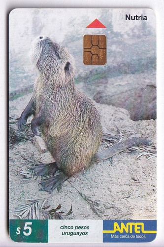 Amerique telecarte phonecard - telecarte,