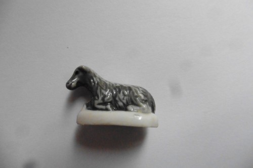 Fève brillante animaux animal - brillante,