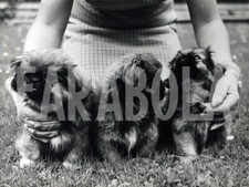 Photo de presse vintage