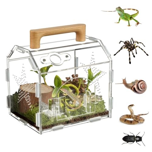 Acrylic terrarium for - acrylic,