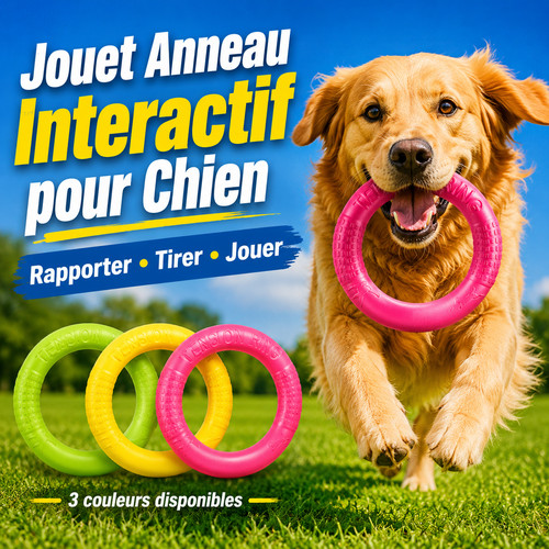 Jouet anneau chien - anneau,