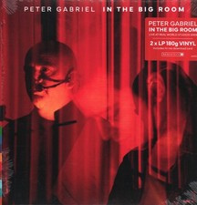PETER GABRIEL IN THE BIG ROOM