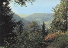 88 LE VAL D AJOL VALEE DES