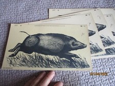 Ancienne Cible de tir au Fusil Chasse au Sanglier Championnat 1986 Cent Ans FNTR